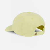 DICKIES - HARDWICK CAP - Pale Green