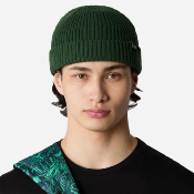 THE NORTH FACE - FISHERMAN BEANIE - Pine Needle