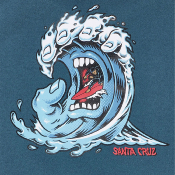 SANTA CRUZ - YOUTH SCREAMING WAVE HOOD - Tidal Teal