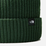THE NORTH FACE - FISHERMAN BEANIE - Pine Needle