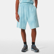 THE NORTH FACE - DYE SHORTS  - Norse Blue
